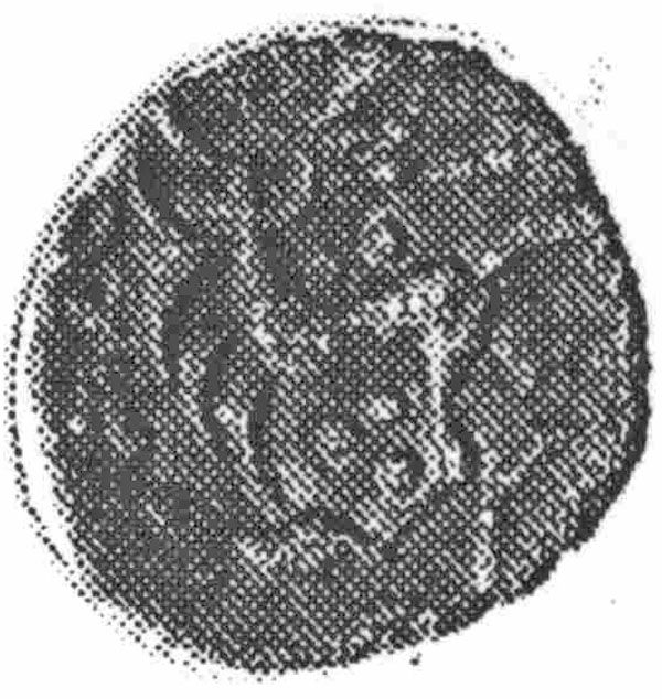 Coin reverse image