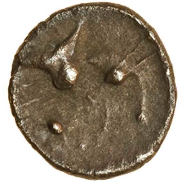 Coin reverse image
