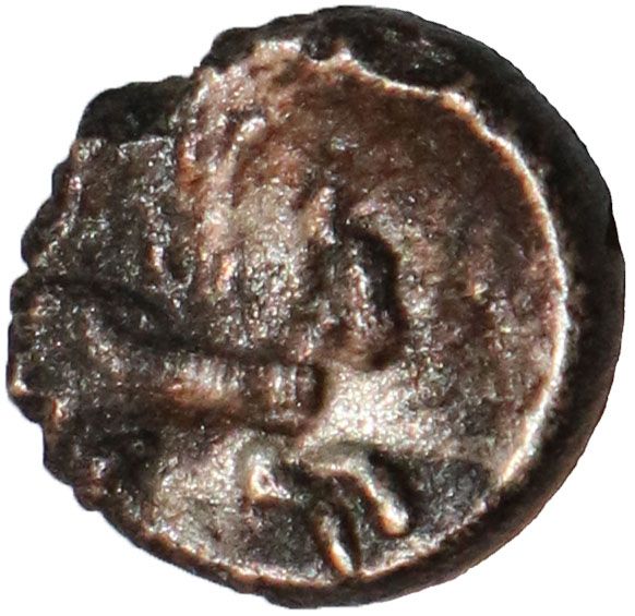 Coin reverse image