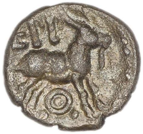 Coin reverse image