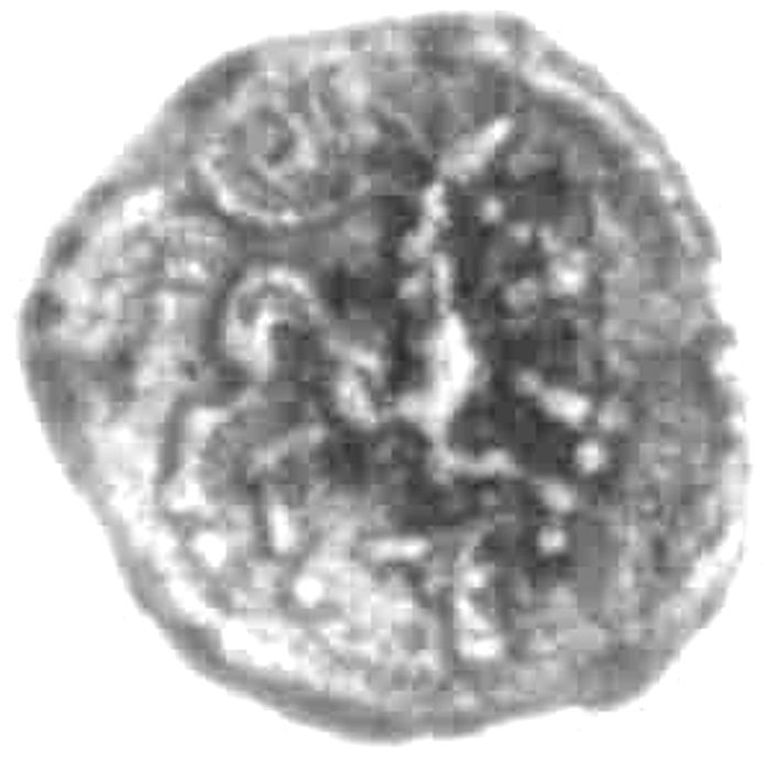 Coin reverse image