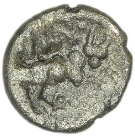 Coin reverse image