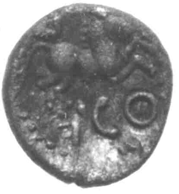 Coin reverse image