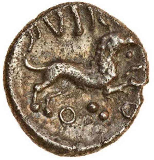 Coin reverse image