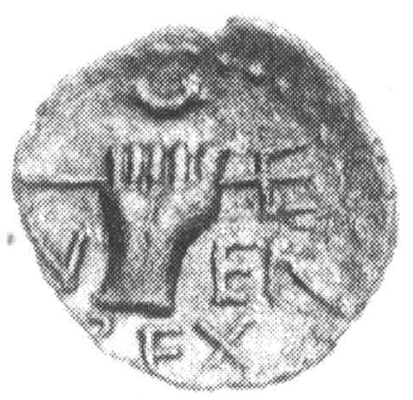 Coin reverse image