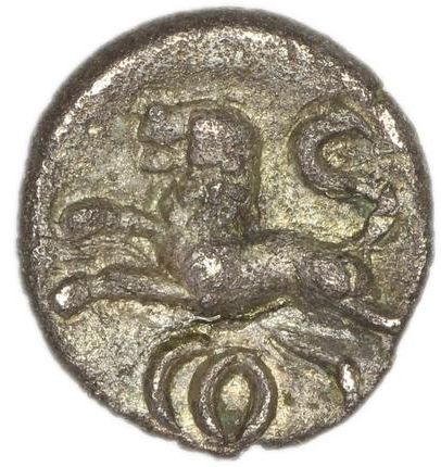 Coin reverse image