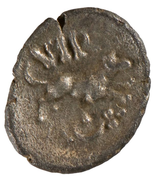 Coin reverse image