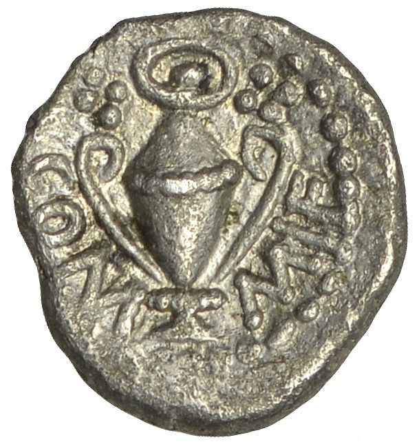 Coin reverse image