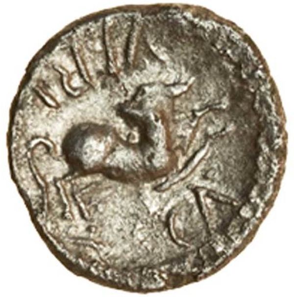 Coin reverse image