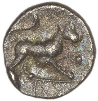 Coin reverse image