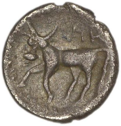 Coin reverse image