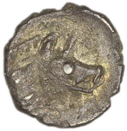 Coin reverse image