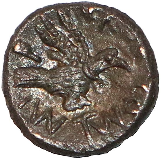 Coin reverse image