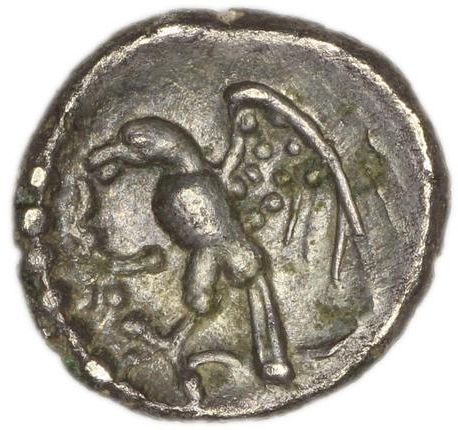 Coin reverse image