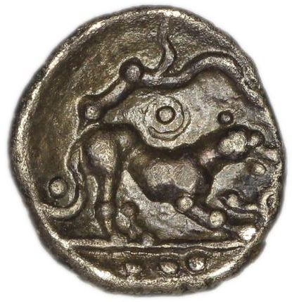 Coin reverse image
