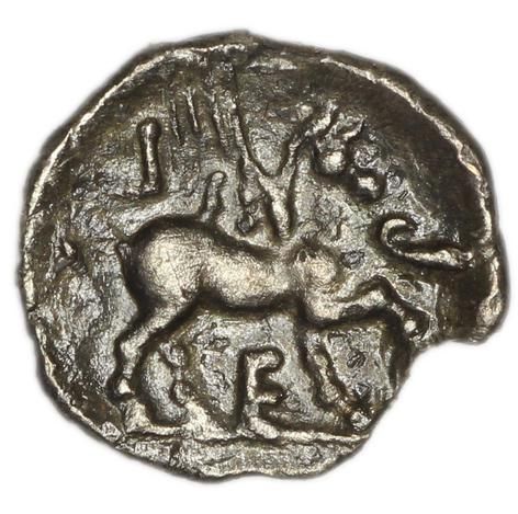 Coin reverse image