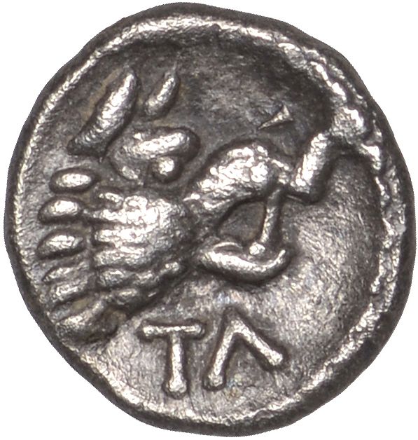 Coin reverse image