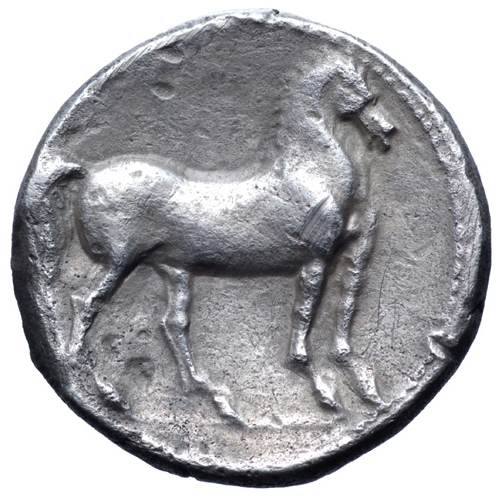 Coin reverse image