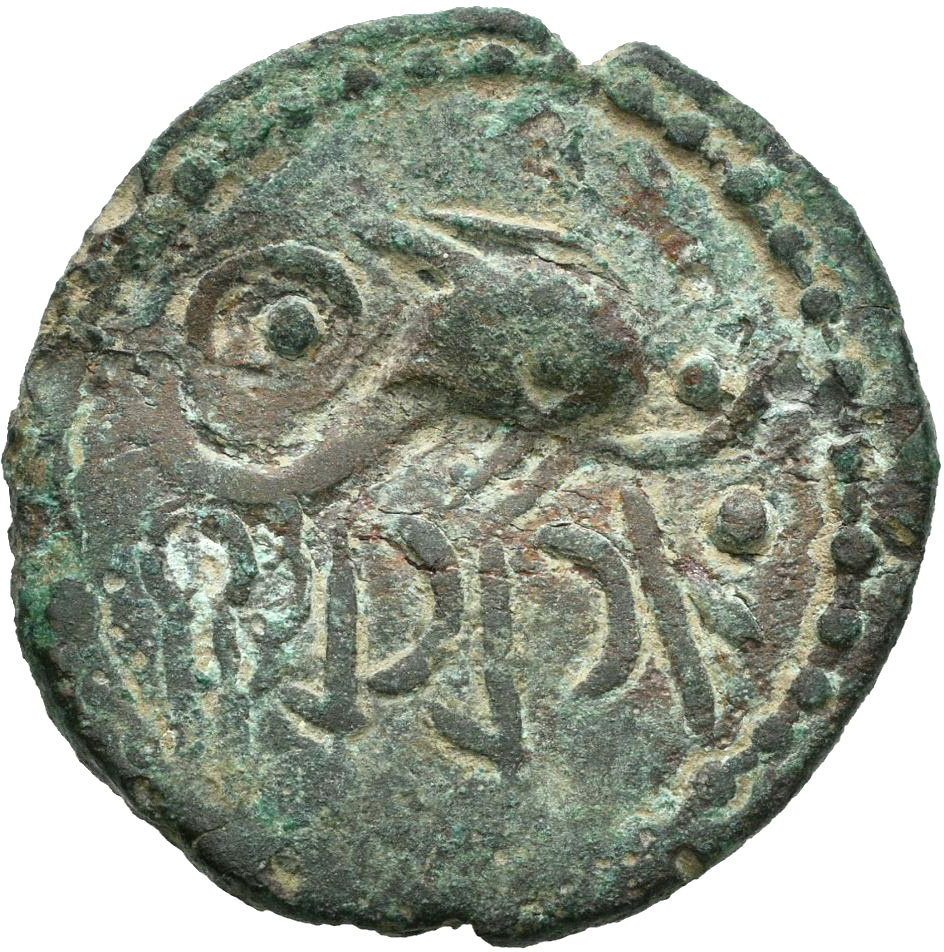 Coin reverse image