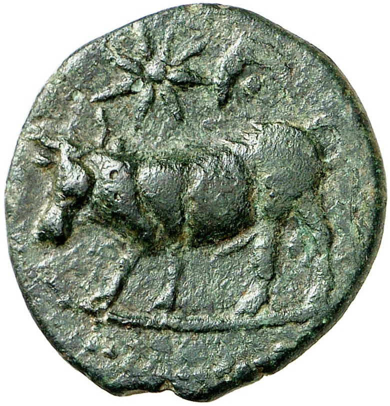 Coin obverse image
