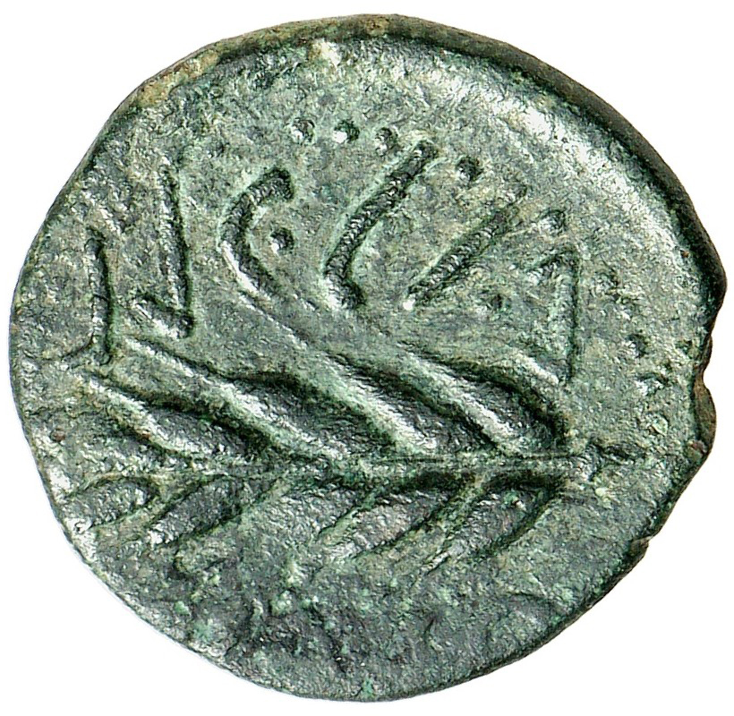 Coin reverse image