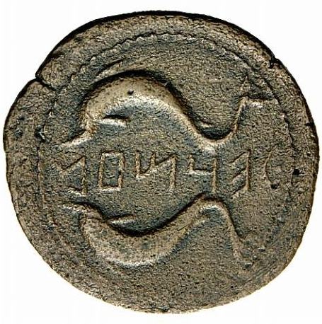 Coin reverse image