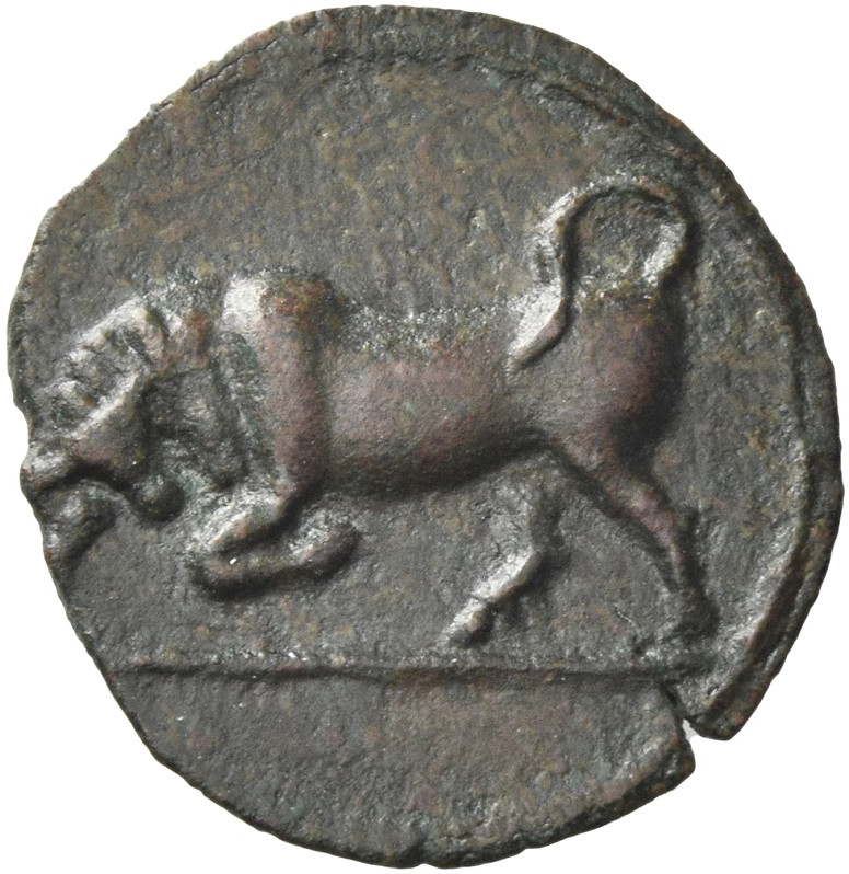 Coin reverse image