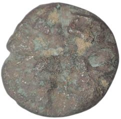 Coin reverse image