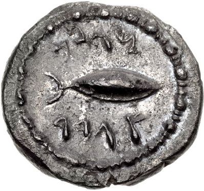Coin reverse image