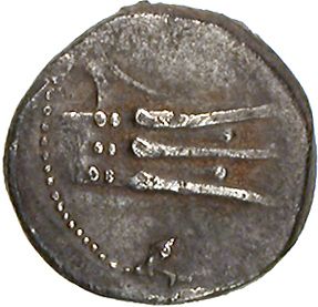 Coin reverse image