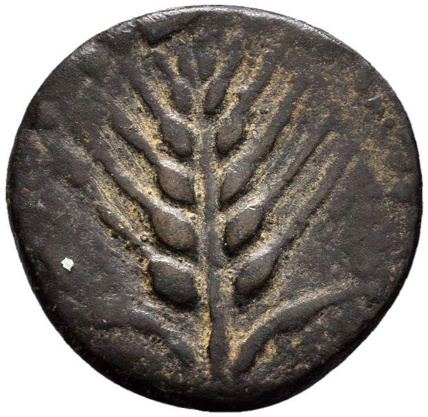 Coin reverse image