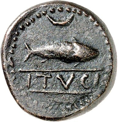 Coin obverse image
