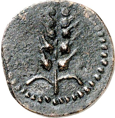 Coin reverse image