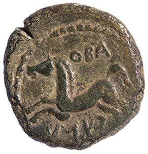 Coin reverse image