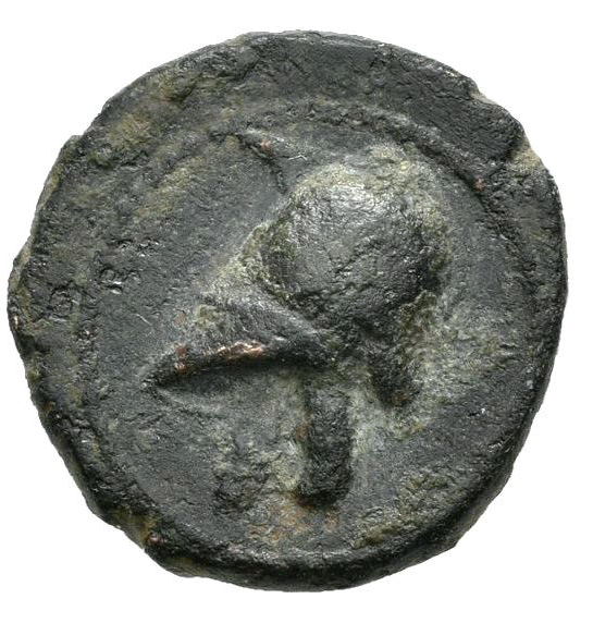 Coin reverse image