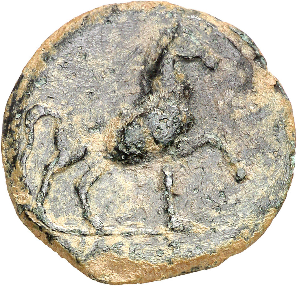 Coin reverse image