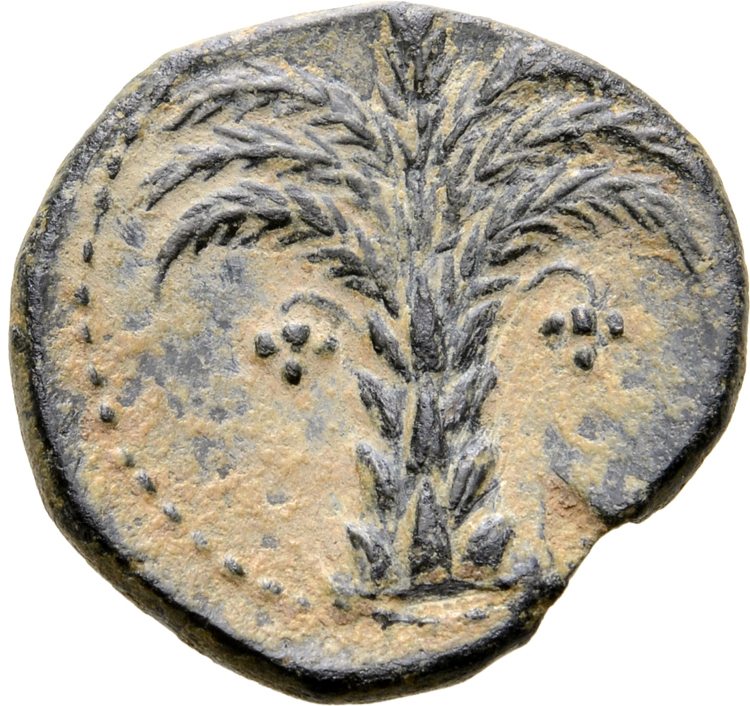 Coin reverse image