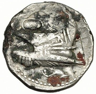 Coin reverse image