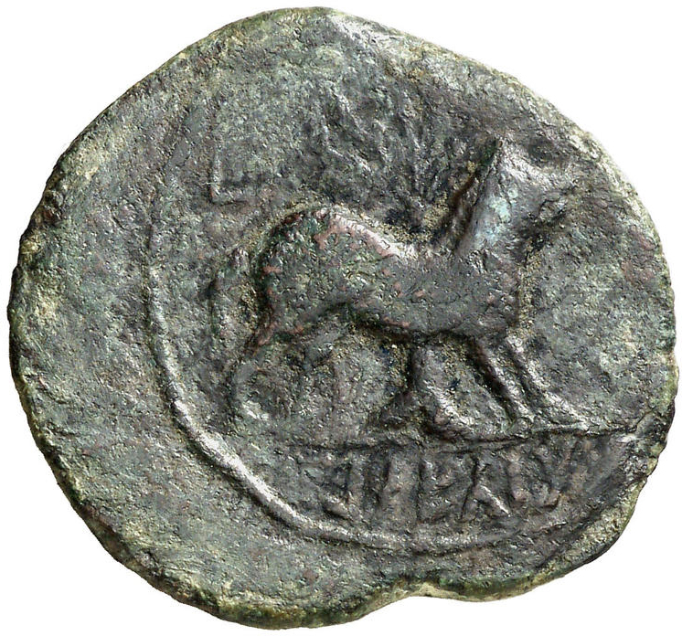 Coin reverse image