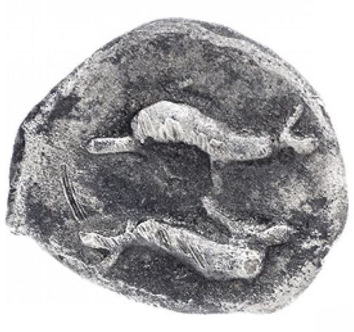 Coin reverse image