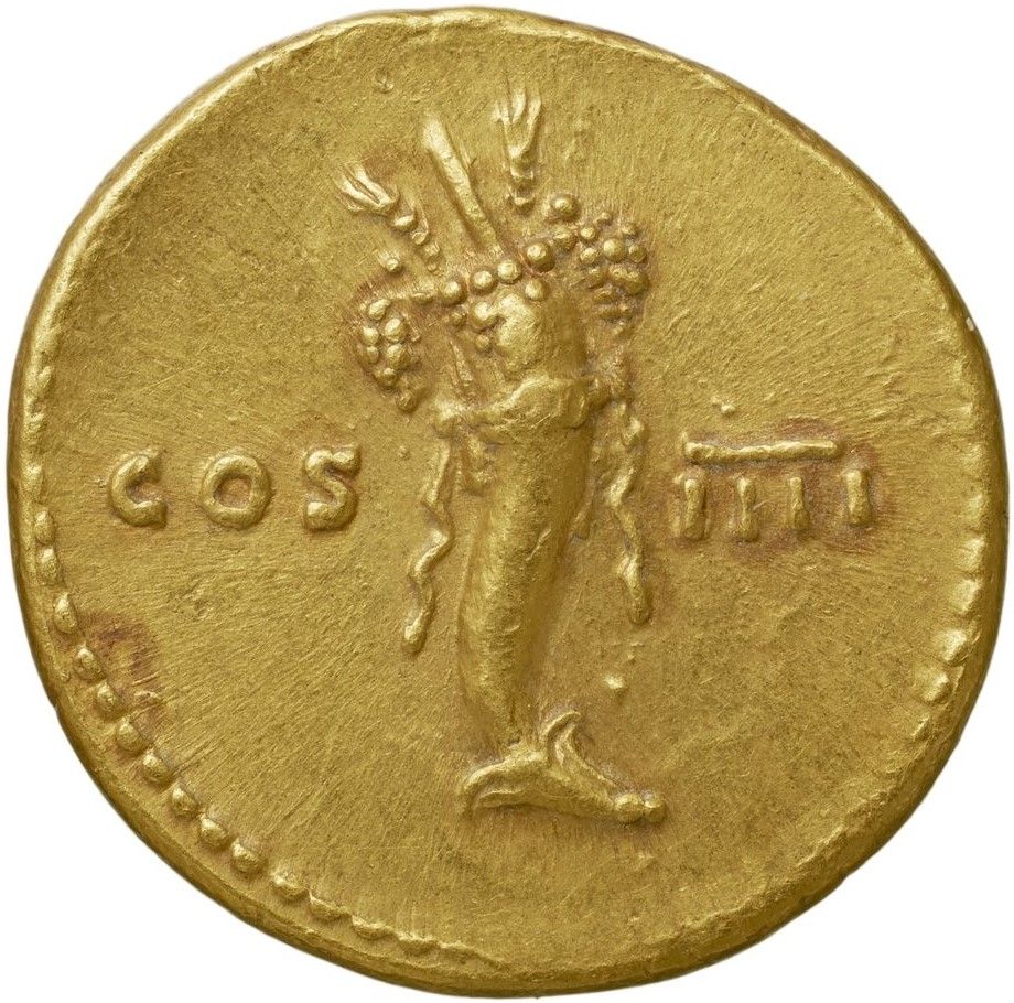 Coin reverse image