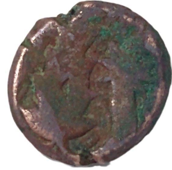 Coin obverse image
