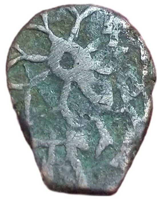 Coin obverse image