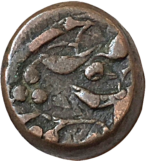 Coin reverse image