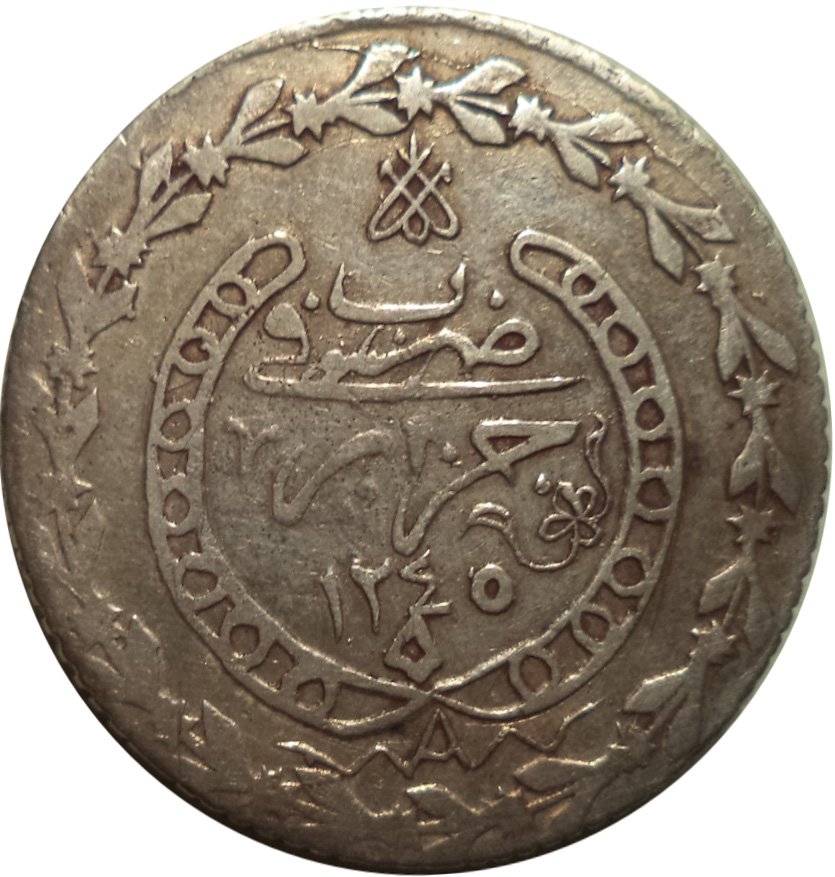 Coin reverse image