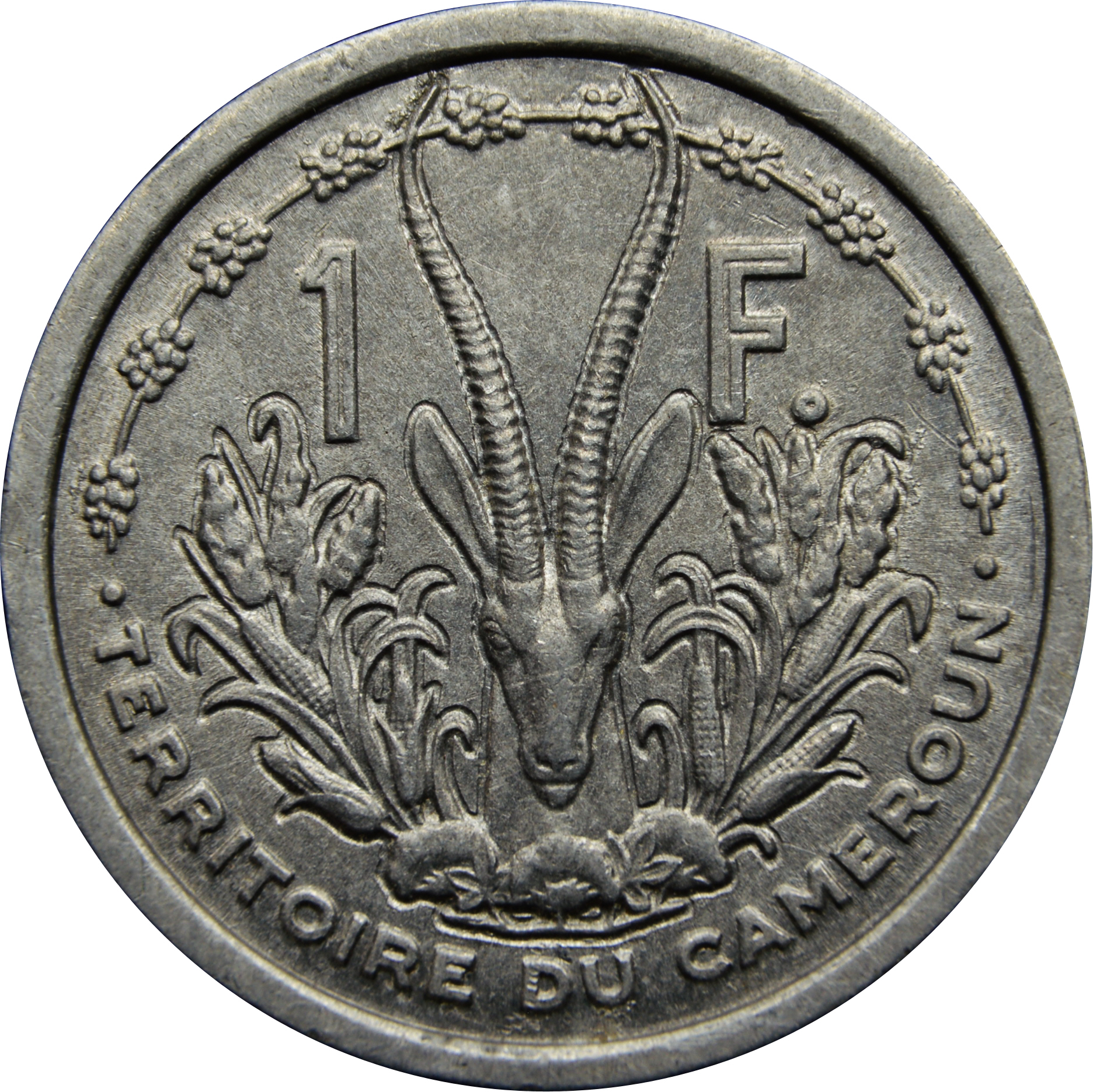 Coin reverse image
