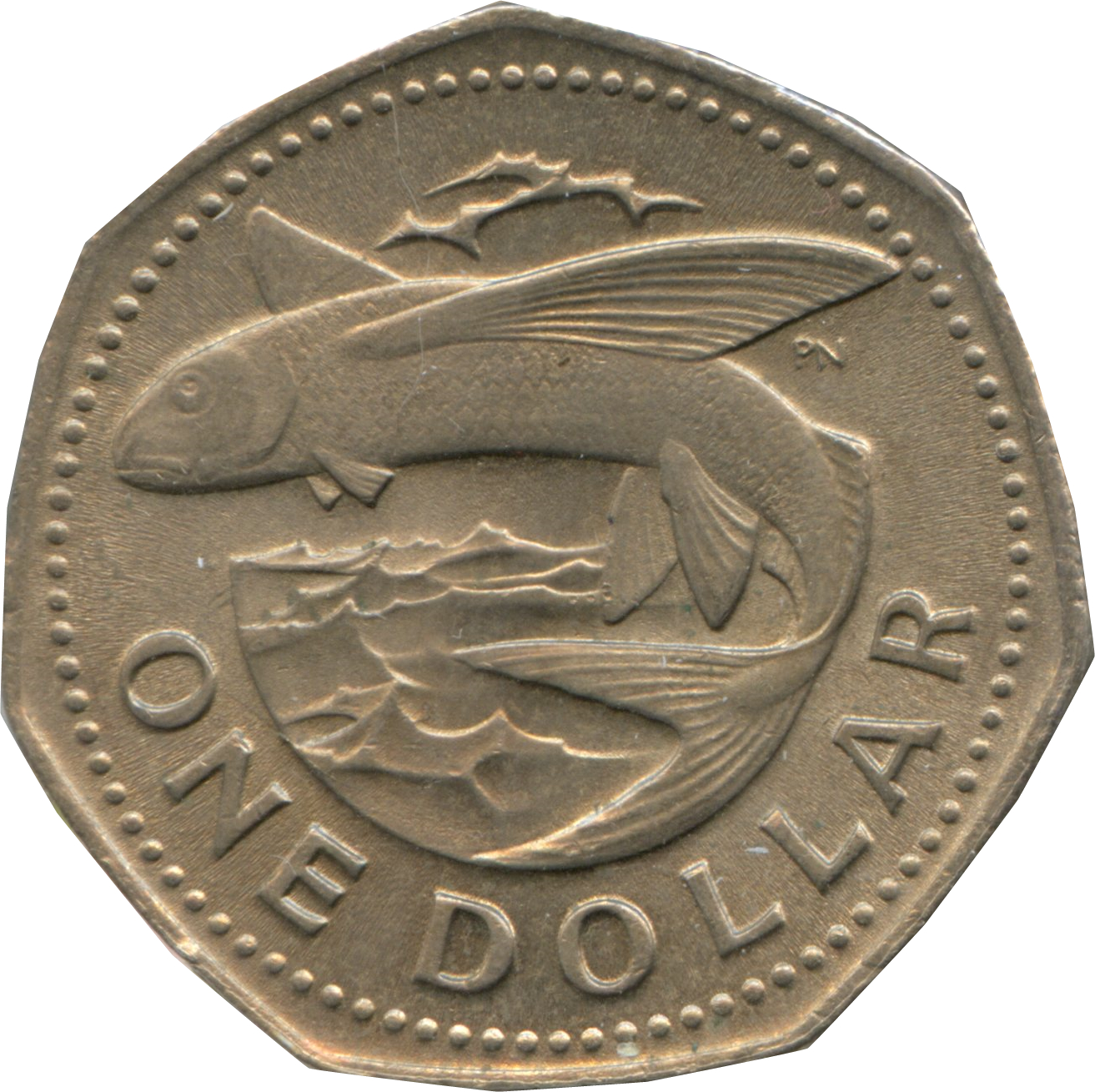 Coin reverse image