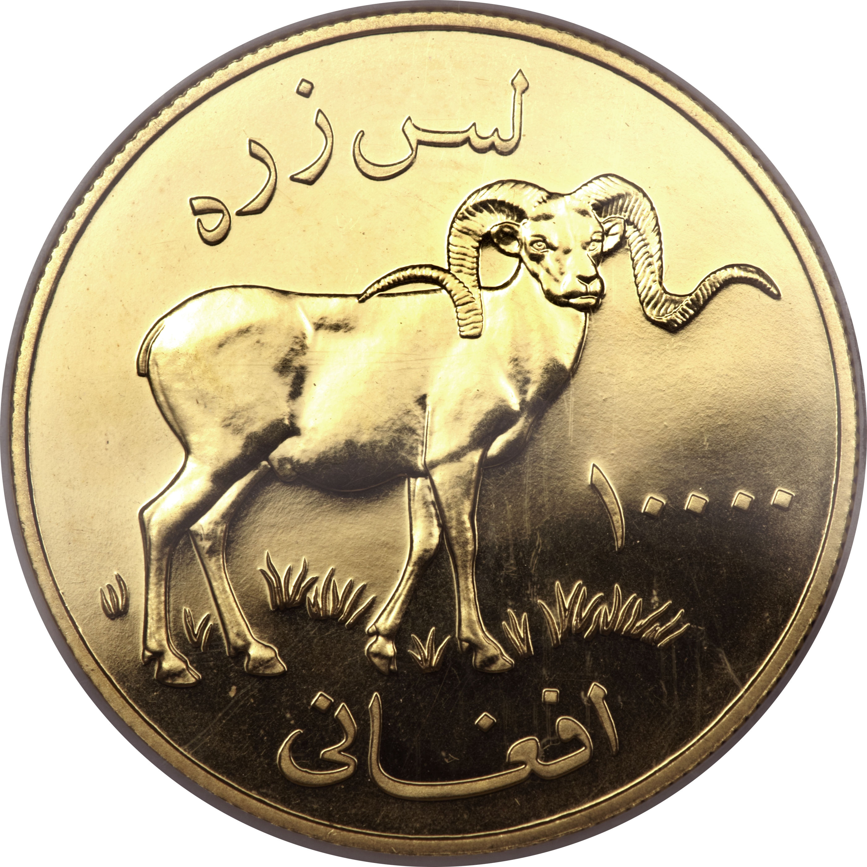 Coin reverse image