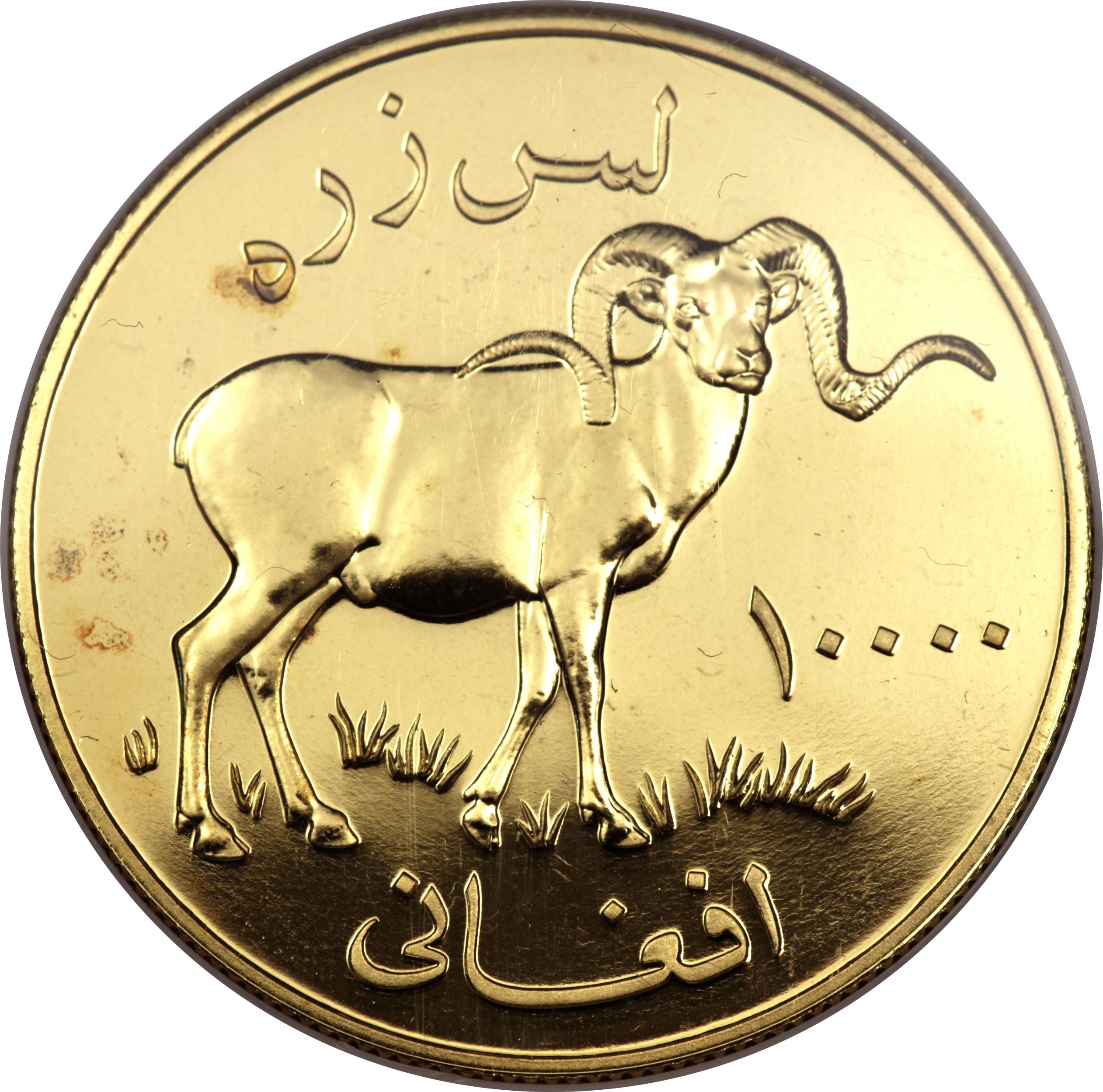 Coin reverse image