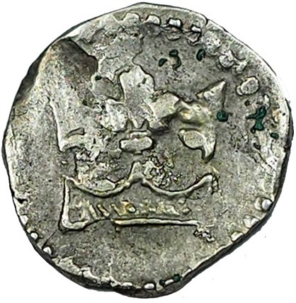 Coin reverse image
